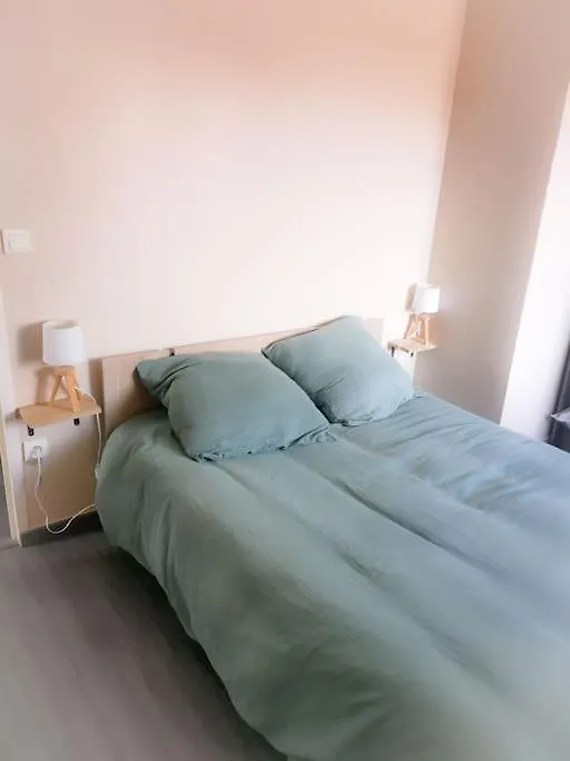 Fleurs De Lys Apartment Saint-Germain-Lespinasse France