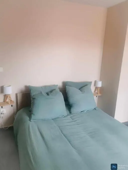 Fleurs De Lys Apartment Saint-Germain-Lespinasse